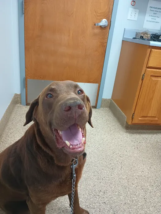 West Central Veterinary Services - Veedersburg Picture 3