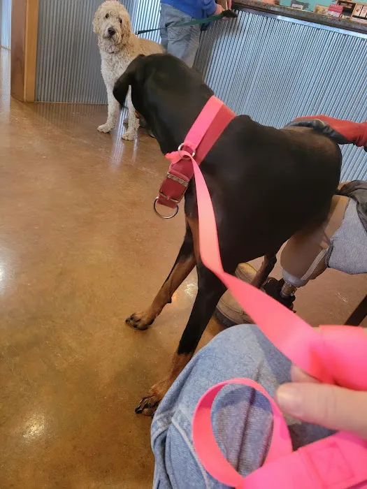 ACE Veterinary Clinic Picture 6