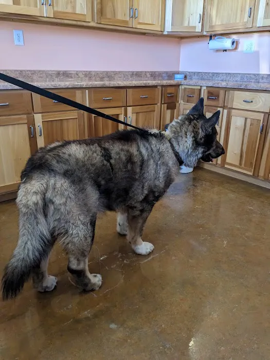 ACE Veterinary Clinic Picture 5