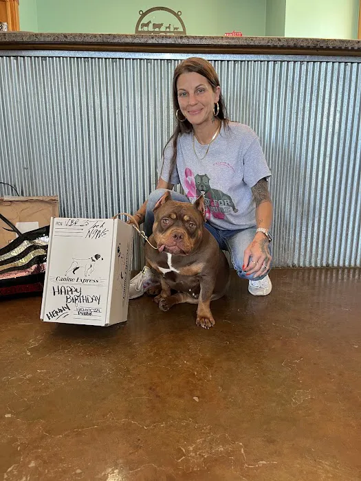 ACE Veterinary Clinic Picture 1