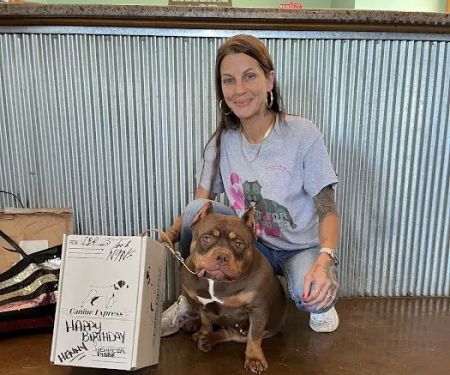 ACE Veterinary Clinic