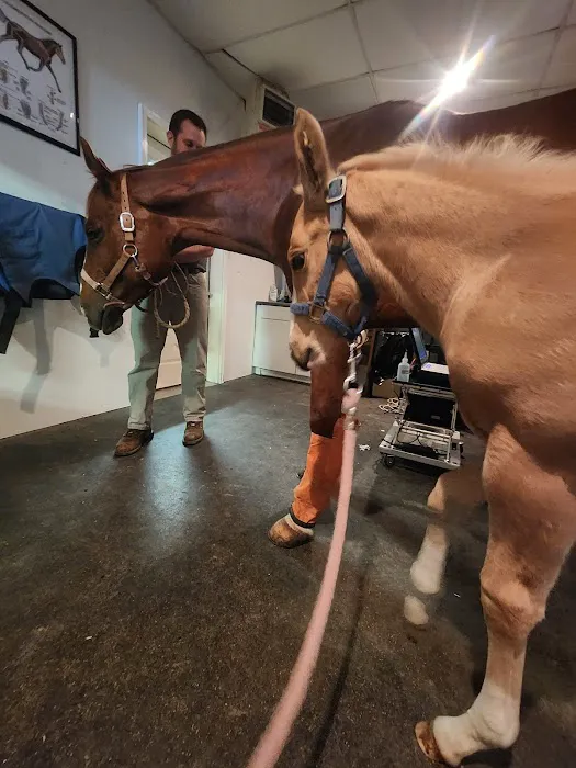 Janssen Veterinary Clinic Picture 5
