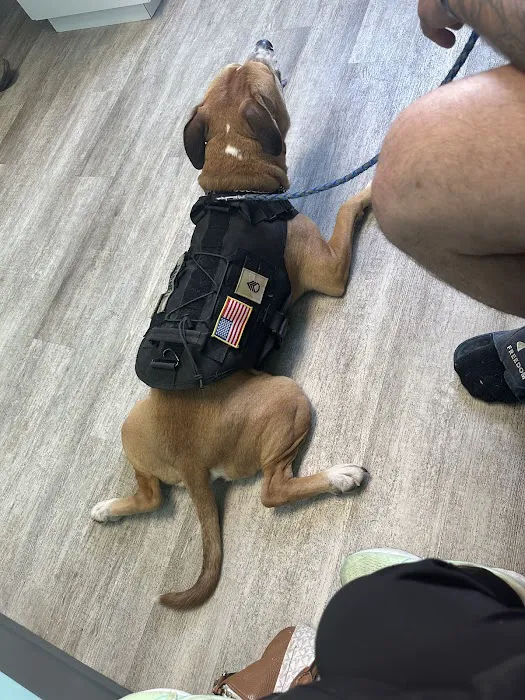 Wayside Veterinary Clinic Picture 1