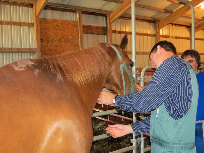 Wayside Veterinary Clinic Picture 9