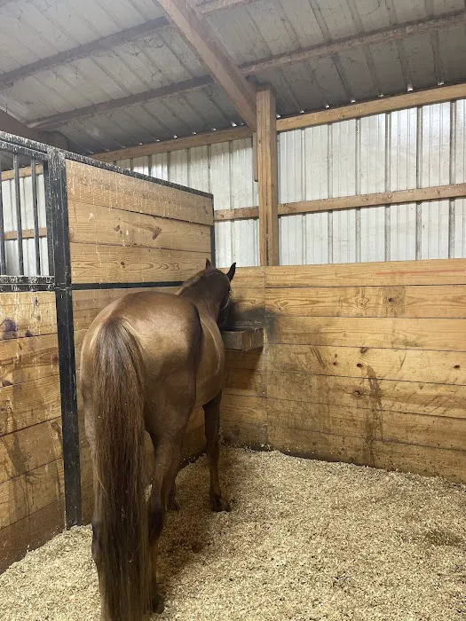 Wayside Veterinary Clinic Picture 10