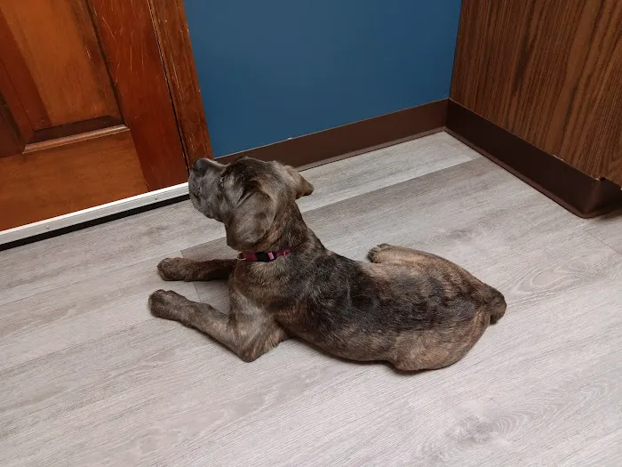 Tri-County Veterinary Clinic Picture 10
