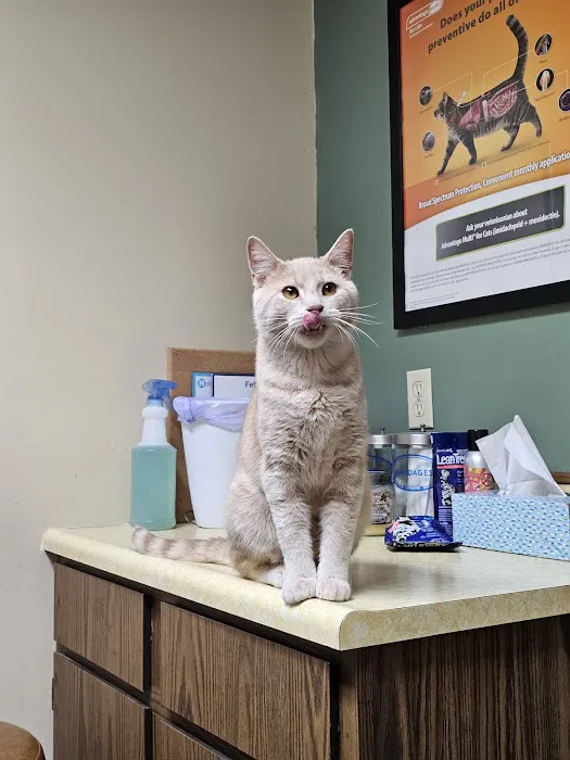 Tri-County Veterinary Clinic Picture 8
