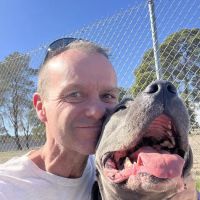 Tabor Hill Mobile Veterinary Service ico