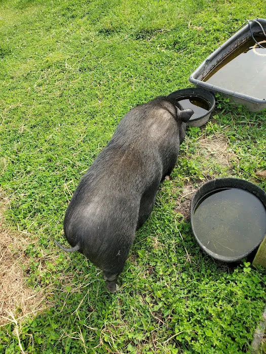 Wildcat Valley Animal Clinic Picture 7