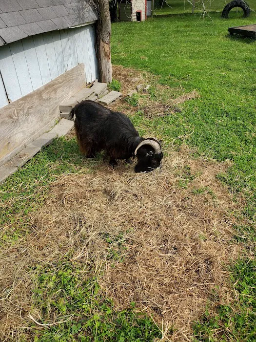 Wildcat Valley Animal Clinic Picture 6
