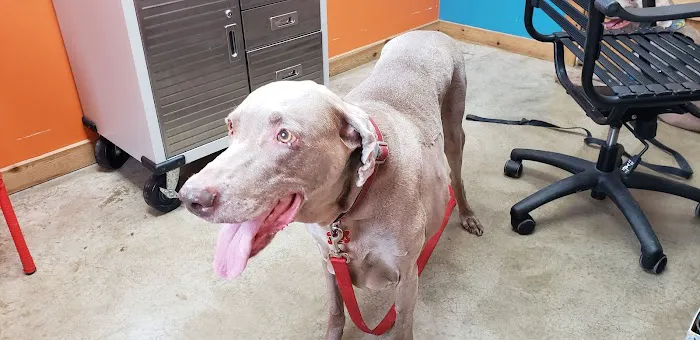 Wildcat Valley Animal Clinic Picture 8