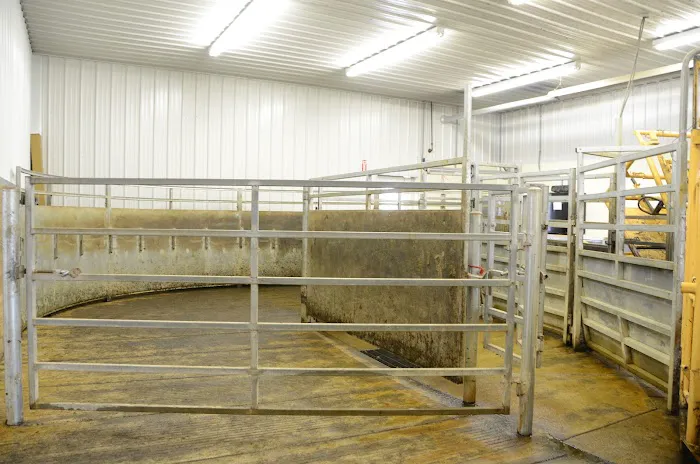 Bush Veterinary Services Picture 7