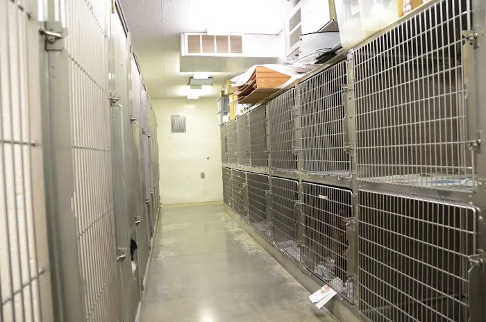 Bush Veterinary Services Picture 6