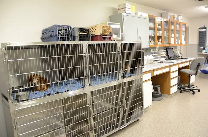 Bush Veterinary Services Picture 4