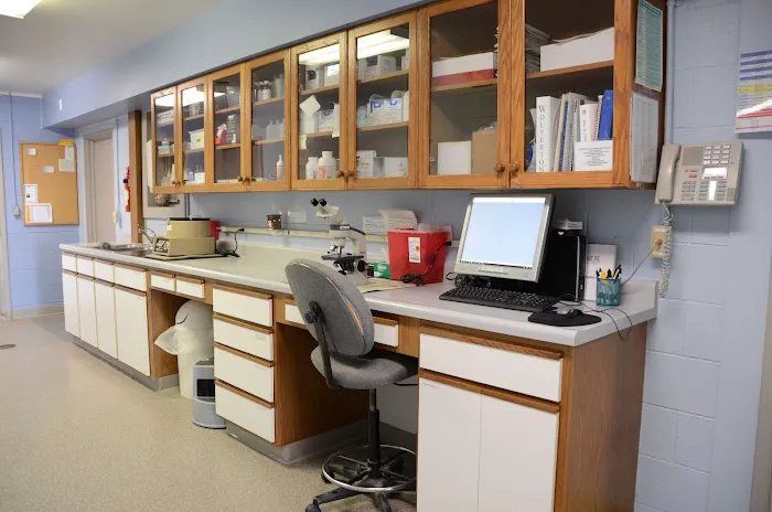Bush Veterinary Services Picture 5