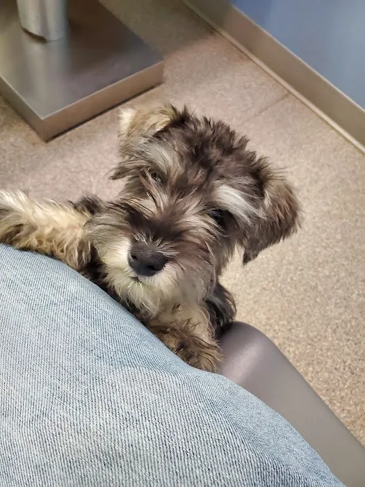 Bush Veterinary Services Picture 9