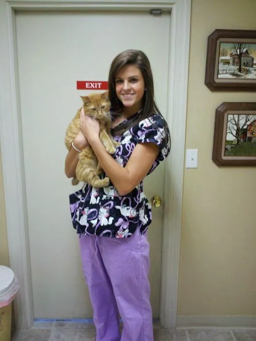 Pet Care Clinic of Kokomo Picture 1