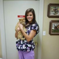 Pet Care Clinic of Kokomo ico