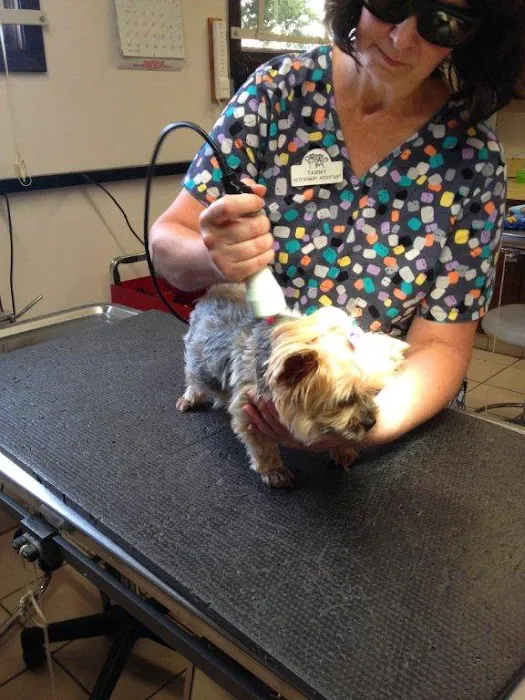 Pet Care Clinic of Kokomo Picture 10