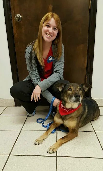 Pet Care Clinic of Kokomo Picture 3