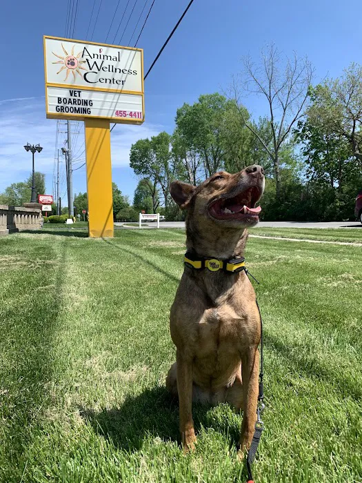 Animal Wellness Center Picture 7