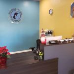 Bay Area Vet MRI