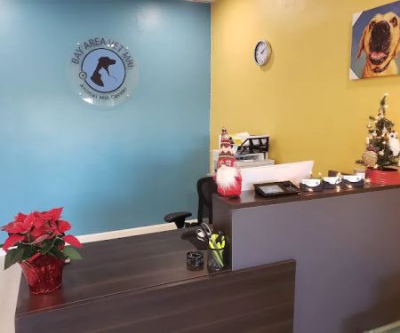 Bay Area Vet MRI