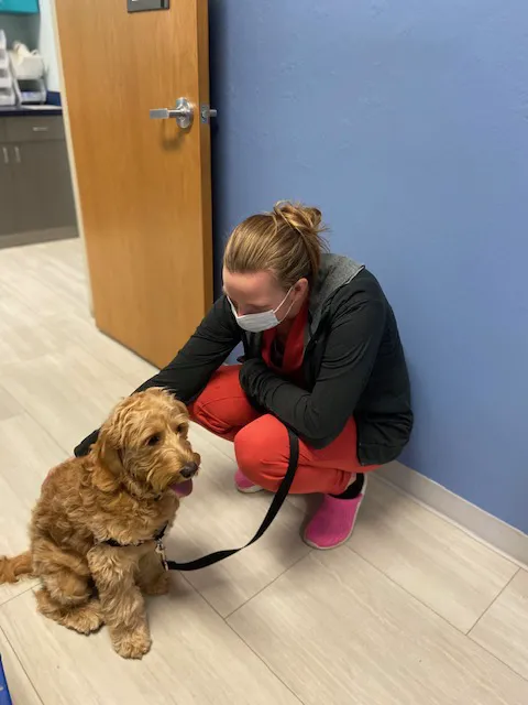 Lenity Vet Specialists + Emergency Care Picture 6