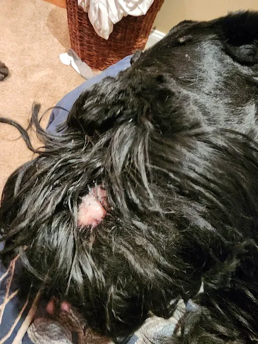 North Peninsula Veterinary Emergency Clinic Picture 9