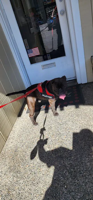 Aragon Veterinary Clinic Inc Picture 2