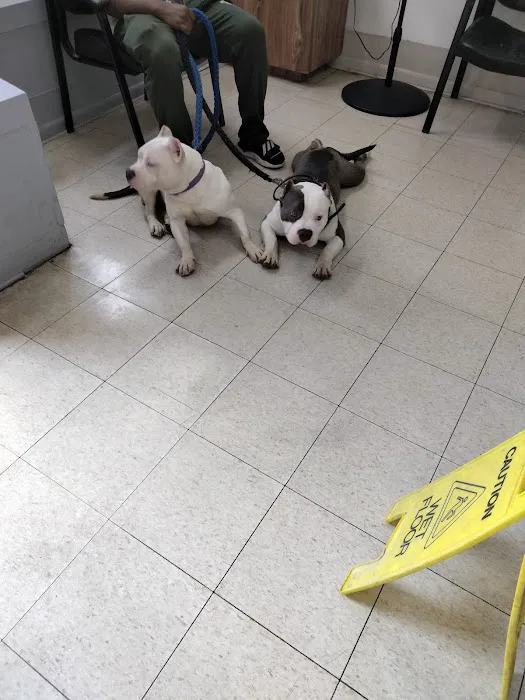 Riverdale Animal Hospital Picture 1