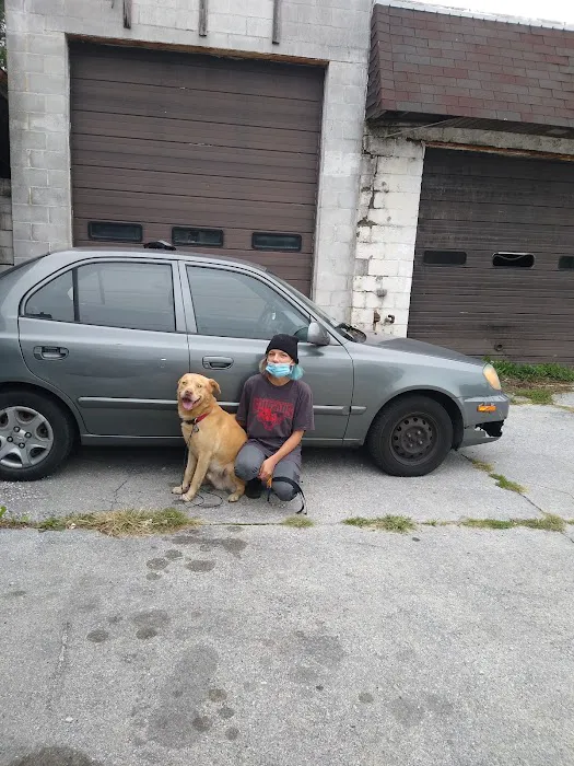Riverdale Animal Hospital Picture 6