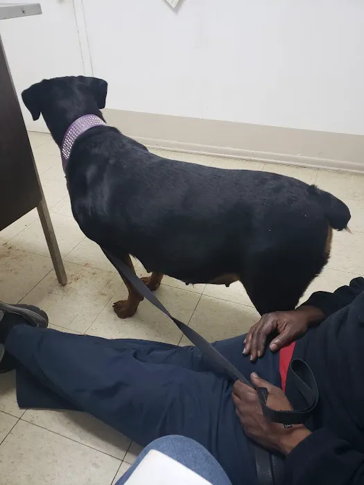 Riverdale Animal Hospital Picture 5