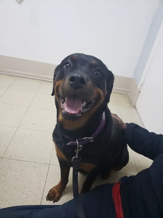 Riverdale Animal Hospital Picture 7