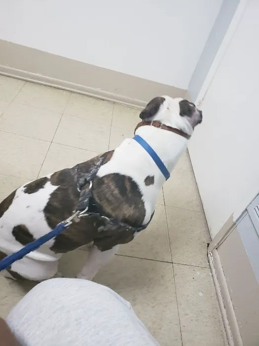 Riverdale Animal Hospital Picture 9