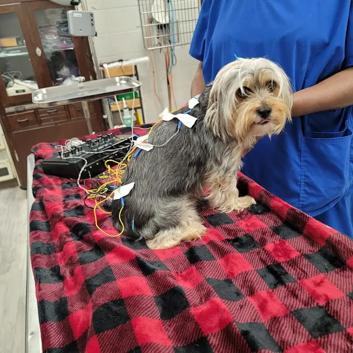 Sibley Animal Hospital Picture 6
