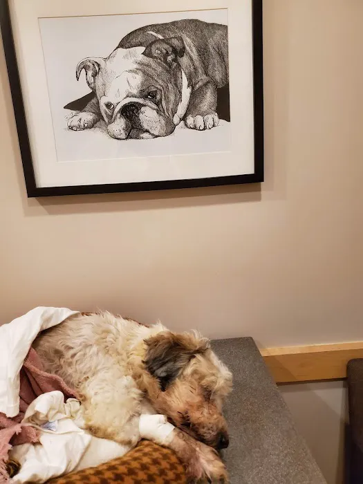 Illiana Veterinary Hospital Picture 1