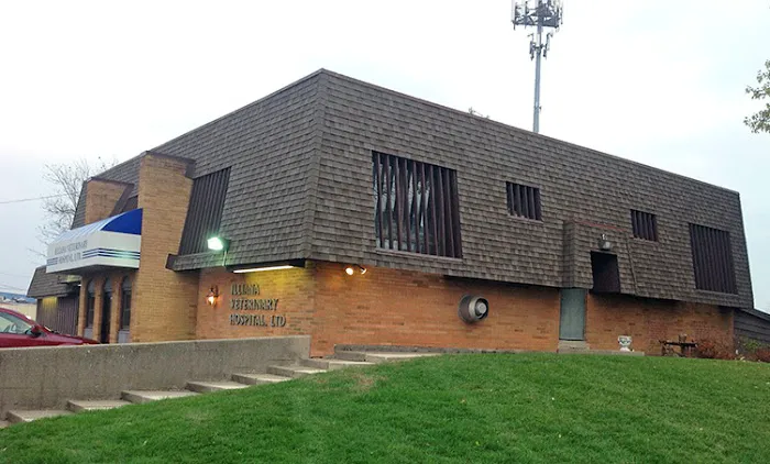 Illiana Veterinary Hospital Picture 2