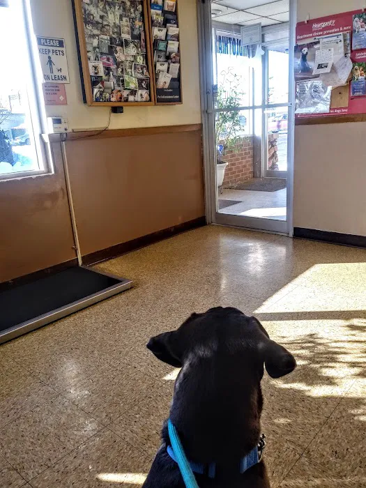 Midlothian Animal Hospital: Martin Teresita DVM Picture 10