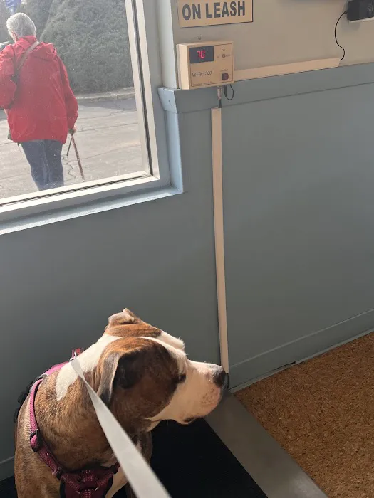 Midlothian Animal Hospital: Martin Teresita DVM Picture 3