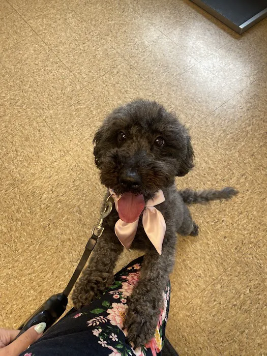 Midlothian Animal Clinic Picture 8