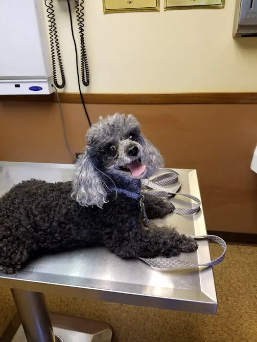 Midlothian Animal Clinic Picture 2