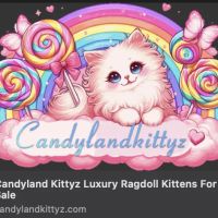 Candyland Kittyz ico