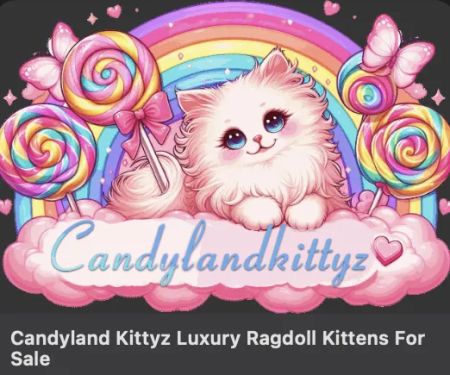 Candyland Kittyz