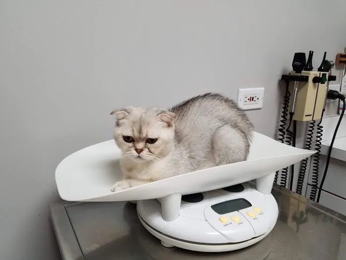 Elmwood Grove Animal Hospital Picture 7