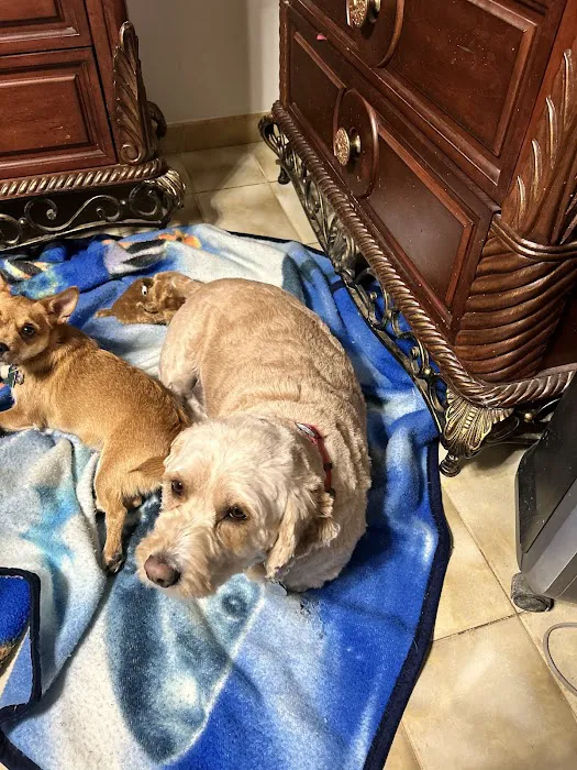 Elmwood Grove Animal Hospital Picture 8