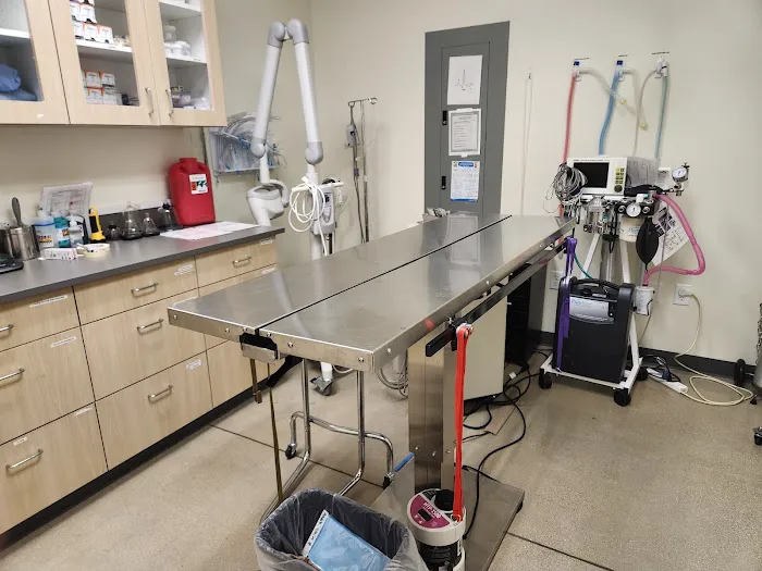 Vetco Total Care Animal Hospital Picture 1