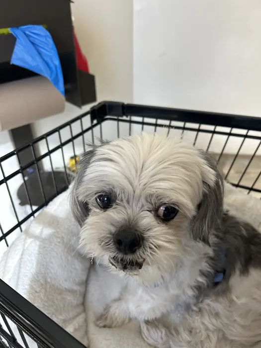 Vetco Total Care Animal Hospital Picture 9