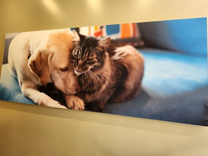 Vetco Total Care Animal Hospital Picture 8
