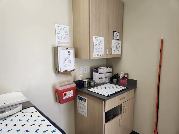Vetco Total Care Animal Hospital Picture 7